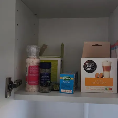 Dreamsnest * Tallinn