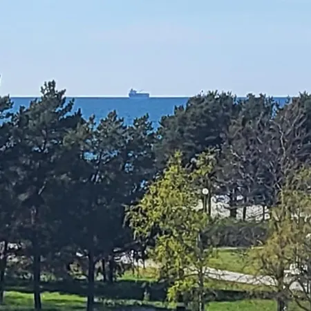 Dreamsnest * Tallinn