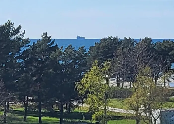 Dreamsnest * Tallinn