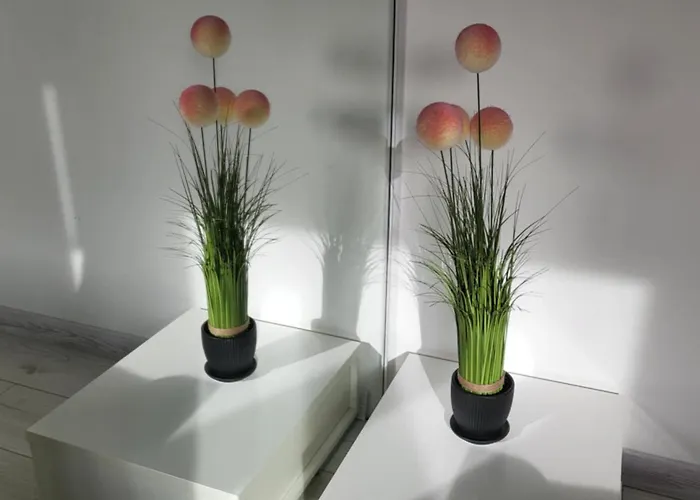 Dreamsnest Apartamento *